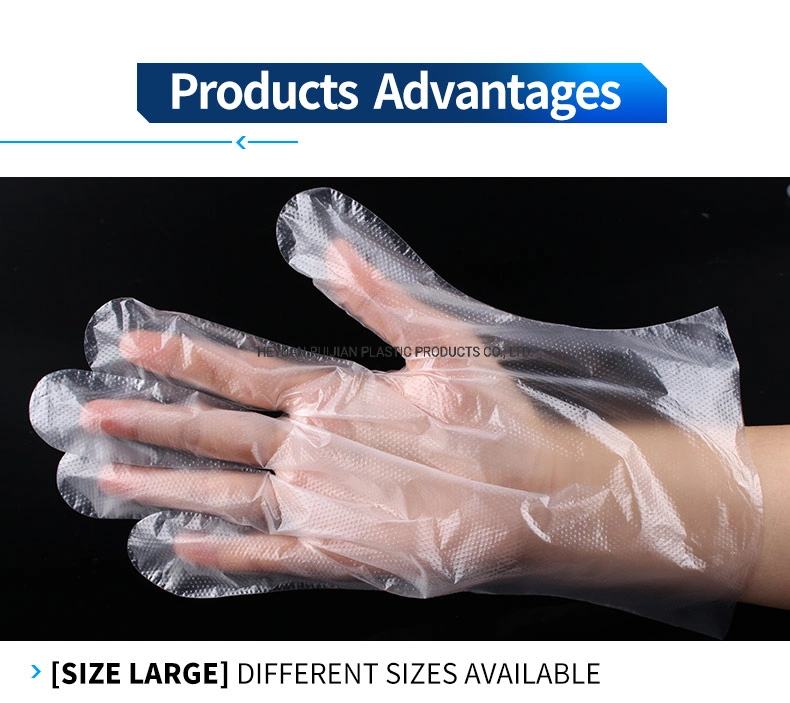 Disposable PE Gloves 2 PCS Individually Packed in a Bag