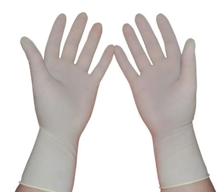Latex Gloves Hand Gloves Rubber Gloves Medical Gloves Disposable Gloves Surgical Gloves