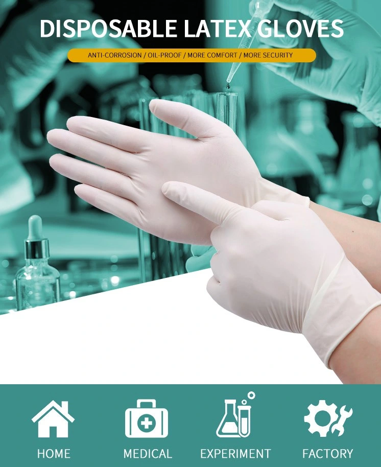 Disposable Medical Gloves High Quality Disposable Protective Vinyl Gloves for Medical Use