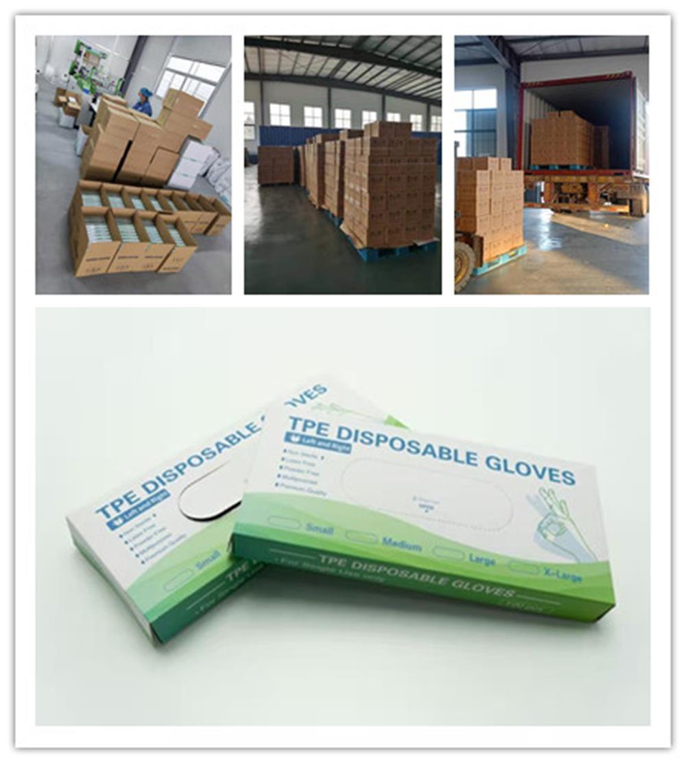 LDPE HDPE Disposable PE Gloves for Food Grade Disposable PE Gloves, Plastic Gloves