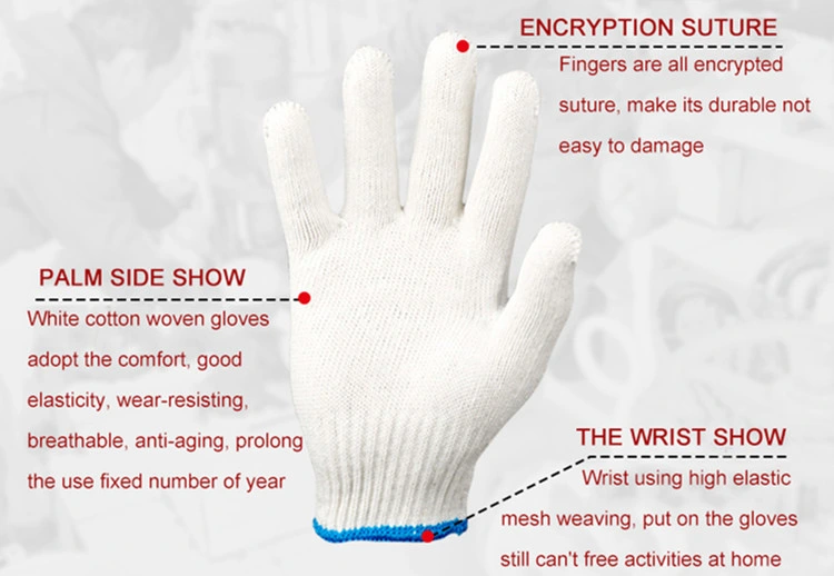 Raw White Working Gloves Cotton Safety Knitted Hand Gloves