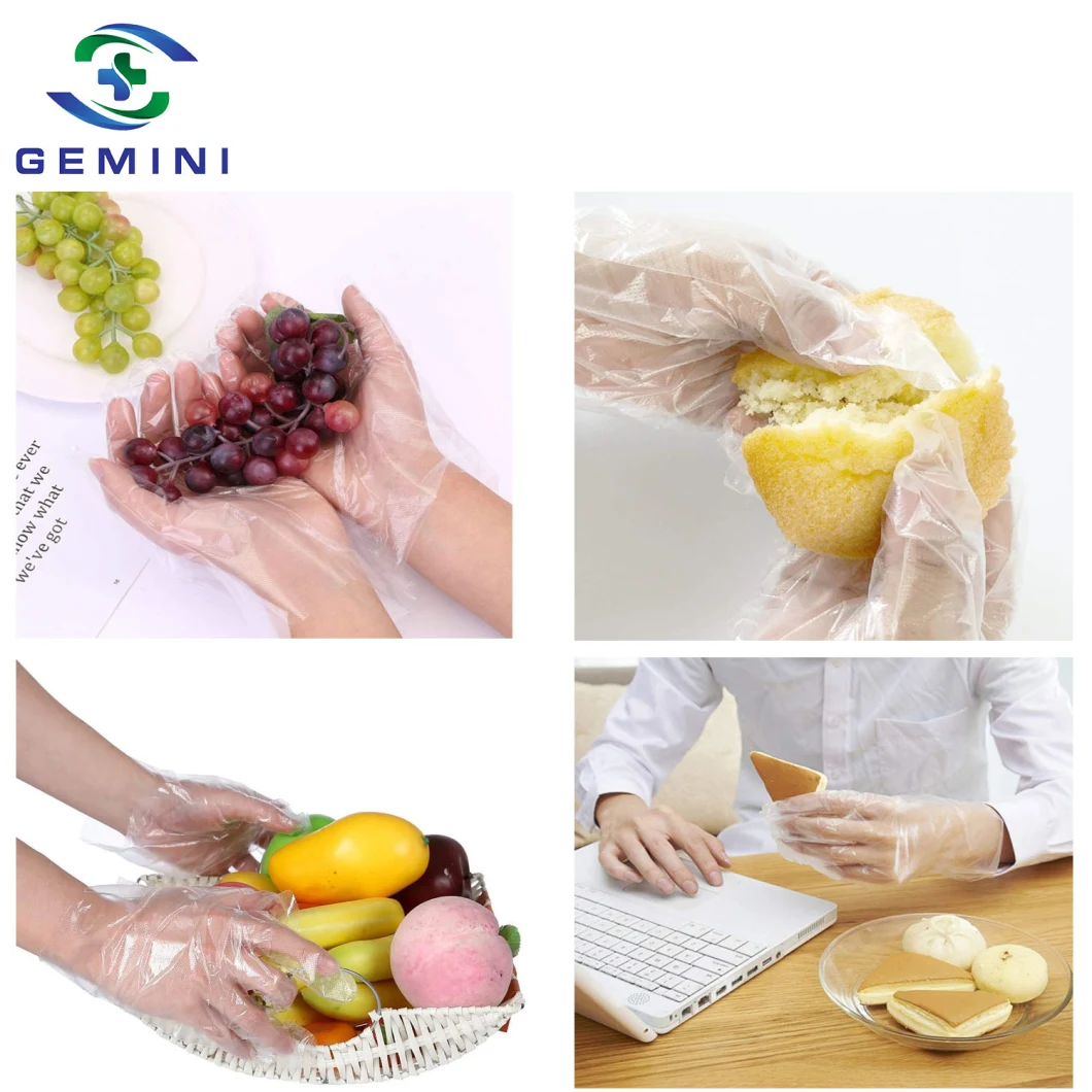 Food Handling Plastic Disposable PE Gloves (GPG-PE001)