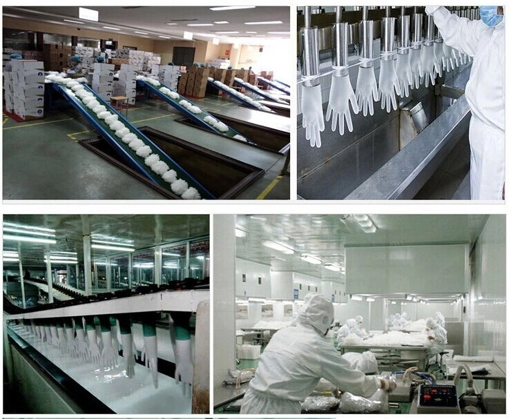  Gloves Latex Latex Powdered Examination Gloves Latex Gloves Manufacturers