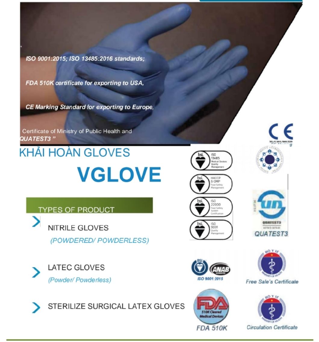  Latex Gloves Disposable Exam Latex Gloves