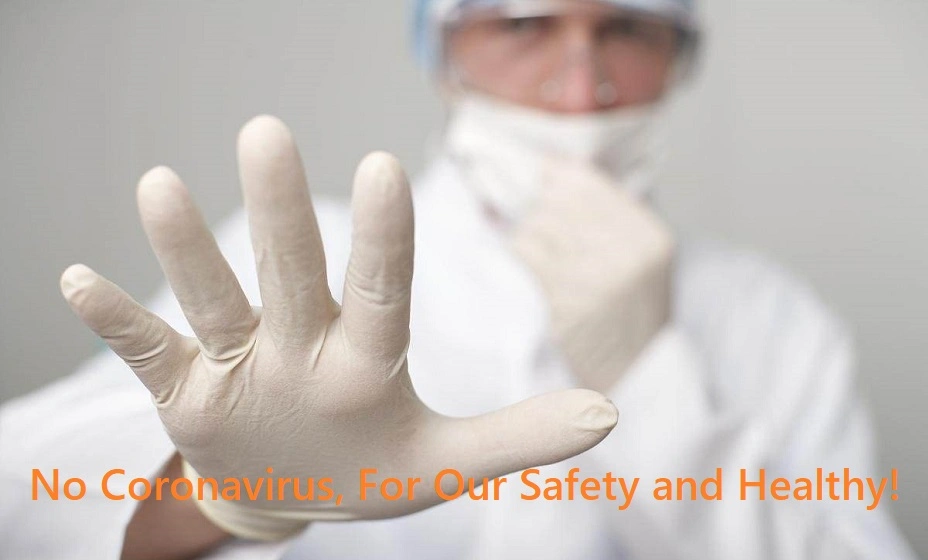 Factory Wholesale Protective Disposable Examination Latex Gloves in Stock