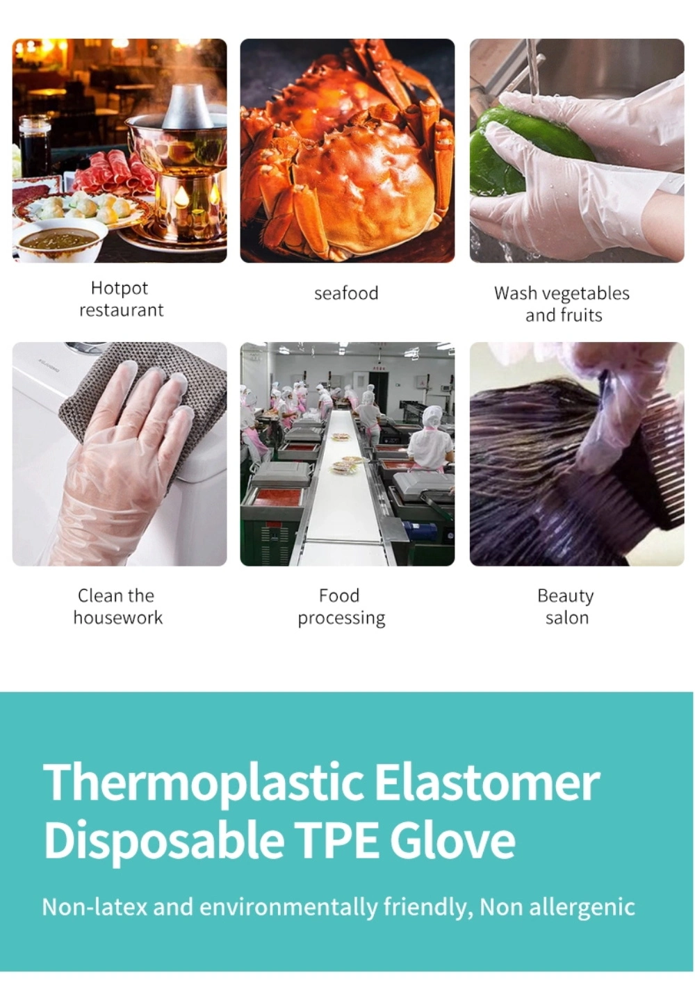 Plastic Polythene PE CPE LDPE TPE Gloves Food Grade Water Proof Household Gloves