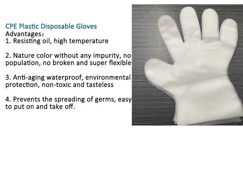 High Performance Disposable Gloves CPE Food Service Gloves Hotels Restaurants Kitchen Transparent
