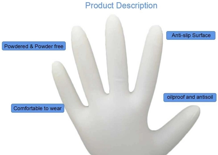 Latex Examination Gloves, Bulk Disposable Latex Gloves