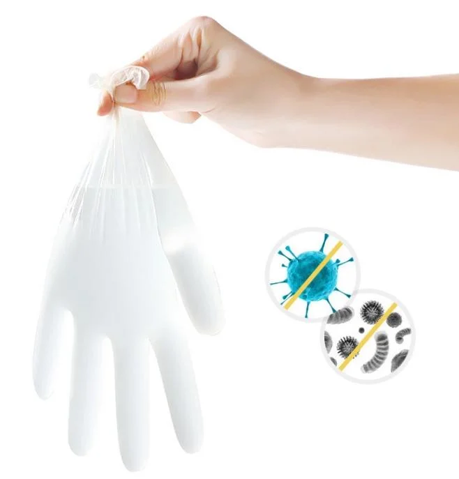 Vinyl Gloves Disposable Glove Examination Nitrile Medical Gloves Food Certification