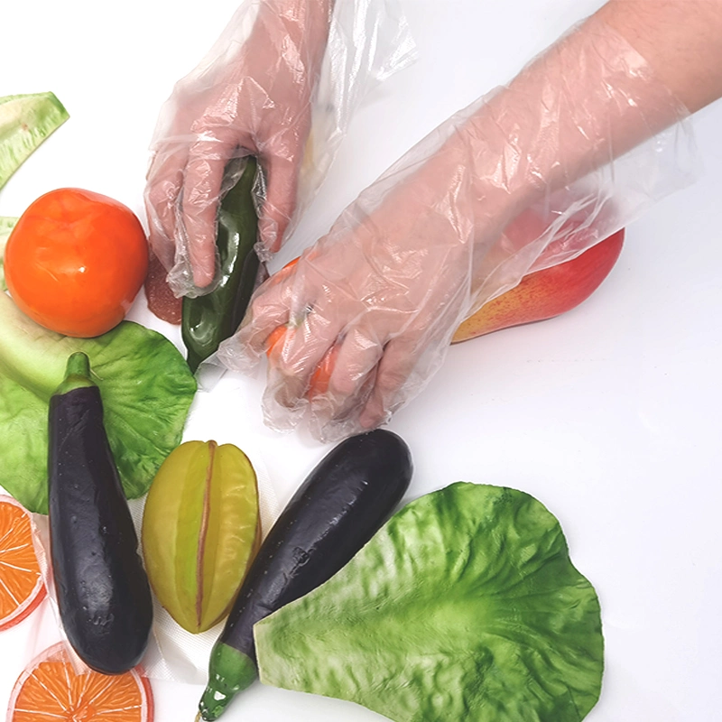 New Household Kitchen Products Biodegradable Plastic Disposable TPE Gloves