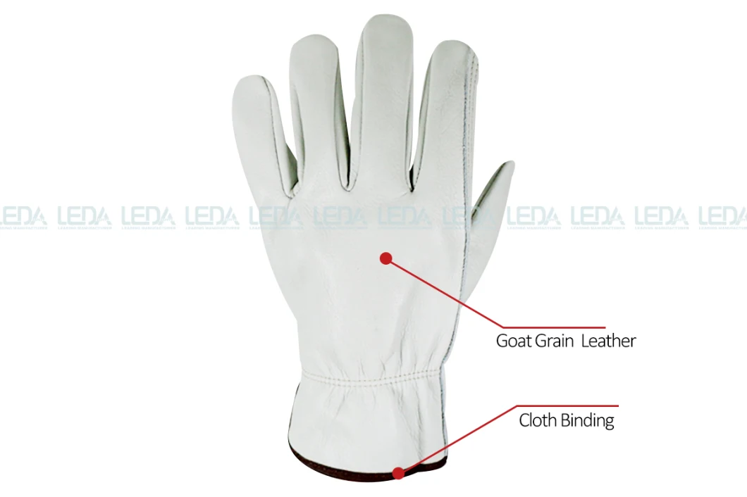 White Goat Grain Leather Gloves Driver Gloves with No Lining