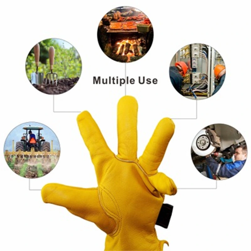 Driver Gloves with Gloden Cow Grain Leather for Driving Gardening Gloves
