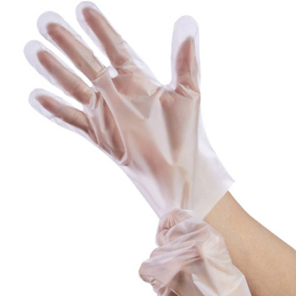 Blue Disposable TPE Gloves Protective Plastic Replace Vinyl Gloves for Daily Use