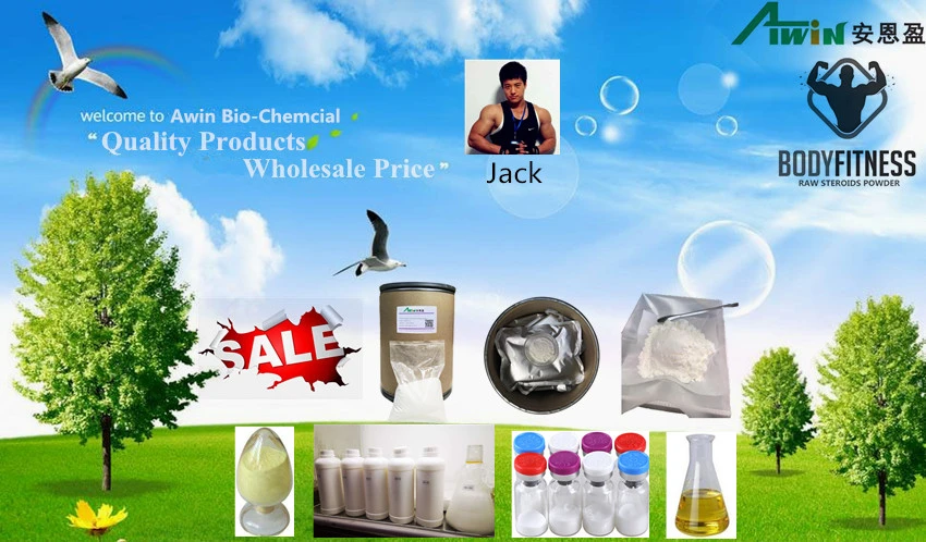 Wholesale Anabolic Hormone Powder Raw Test Powder Blend Raw Powder with Factory Price