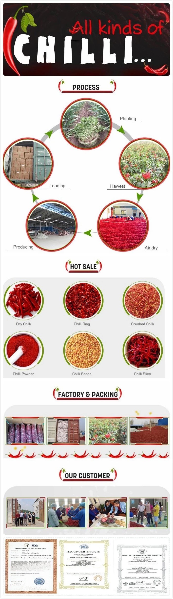 Red Hot Pepper Cayenne Ground Powder
