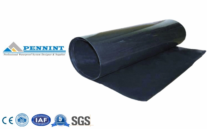 HDPE Geo-Membrane for Environmental Sanitation/ Salt Industry Membrane/ High Polymer Material/ industrial Material/ Civil Material
