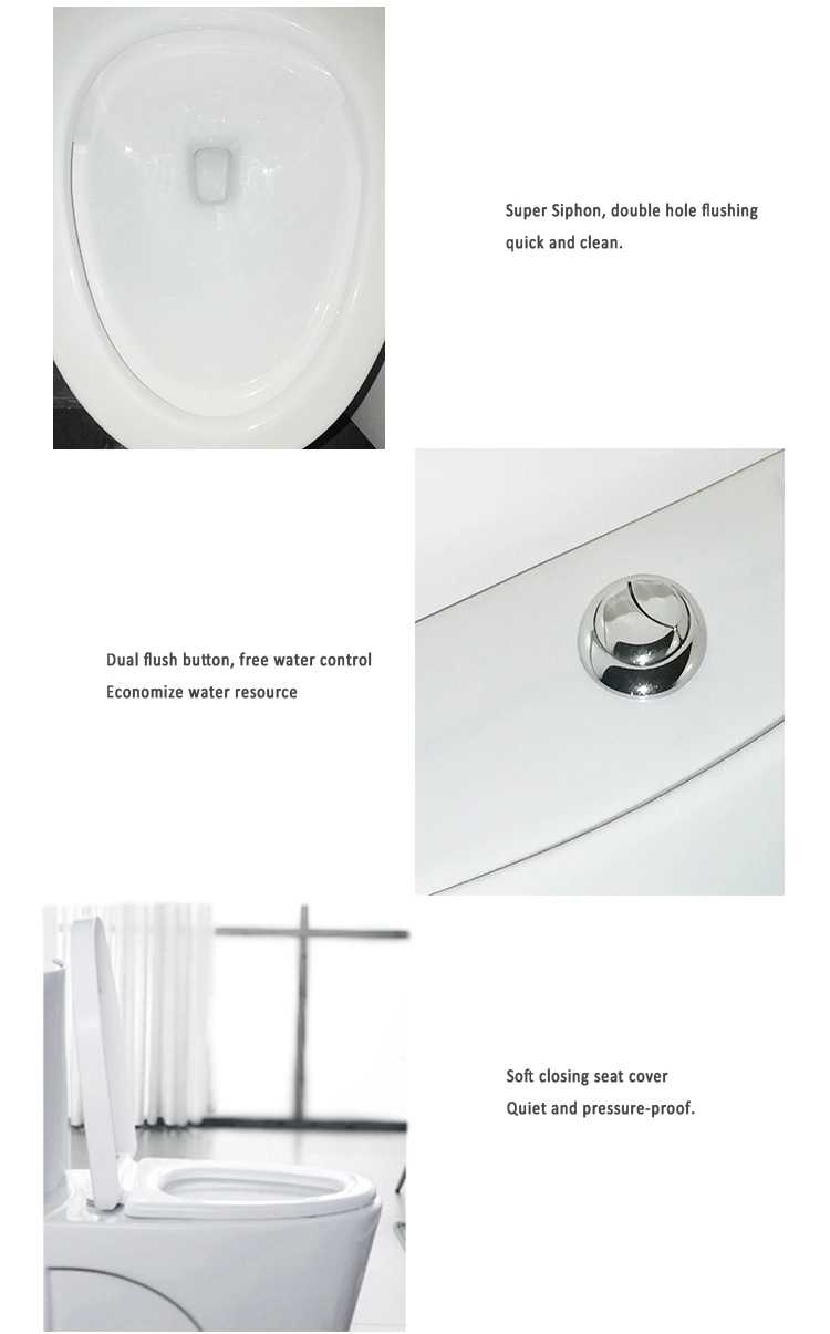White 300 mm Roughing-in S-Trap One Piece Toilet