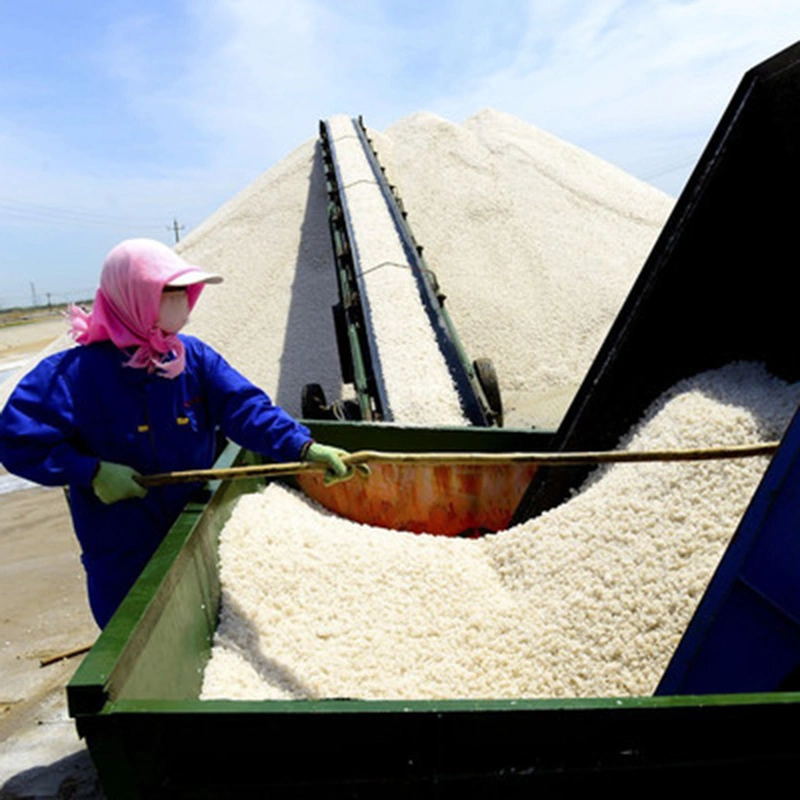 Factory Supply Basic Material Crushed Washing Industrial Salt for Industrial Use Export to Japan