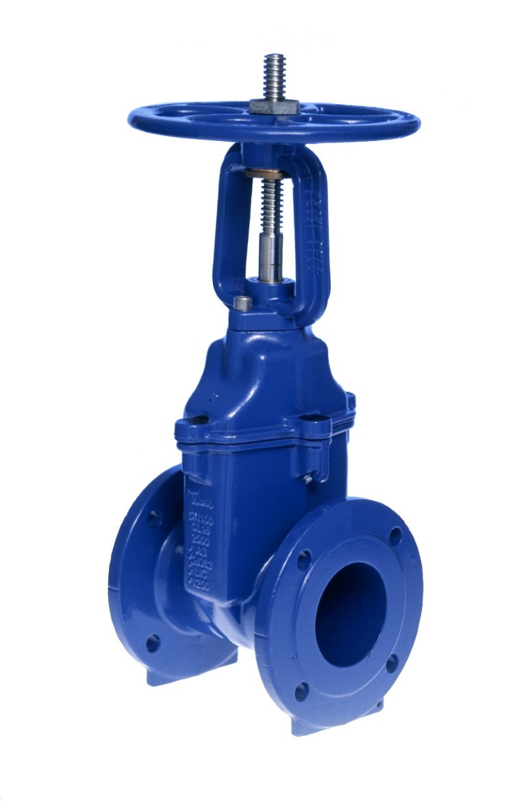 Stainless Steel American Standard Gate Valve