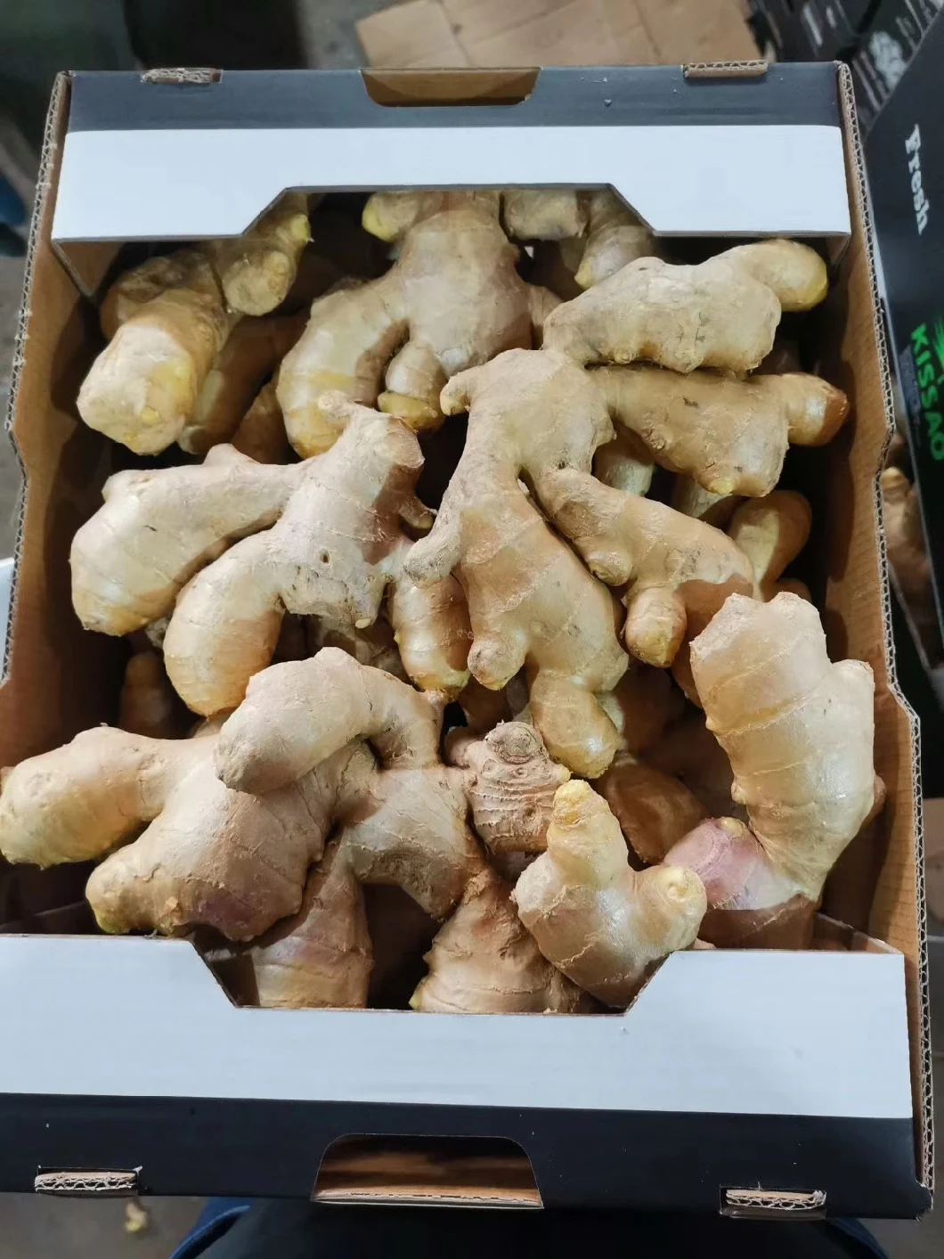 Fresh Ginger Dried Ginger From Chinese Ginger Supplier