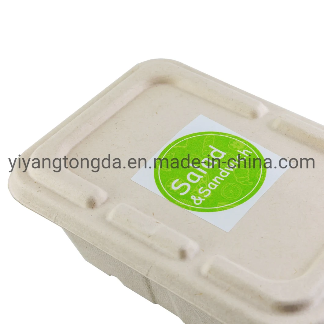 Compostable Taken Away Box Sugarcane Food Container