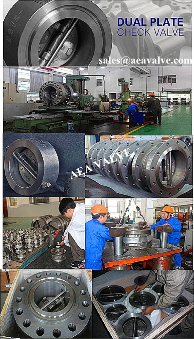 Carbon Steel Wcb Stainless Steel Lug Type Double Disc Dual Plate Wafer Check Valve Pn10 Pn16