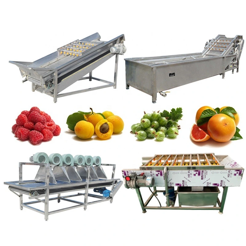 Potato Carrot Onion Washing Peeling Machine Fruit Vegetable Brush Washer Washing Production Line