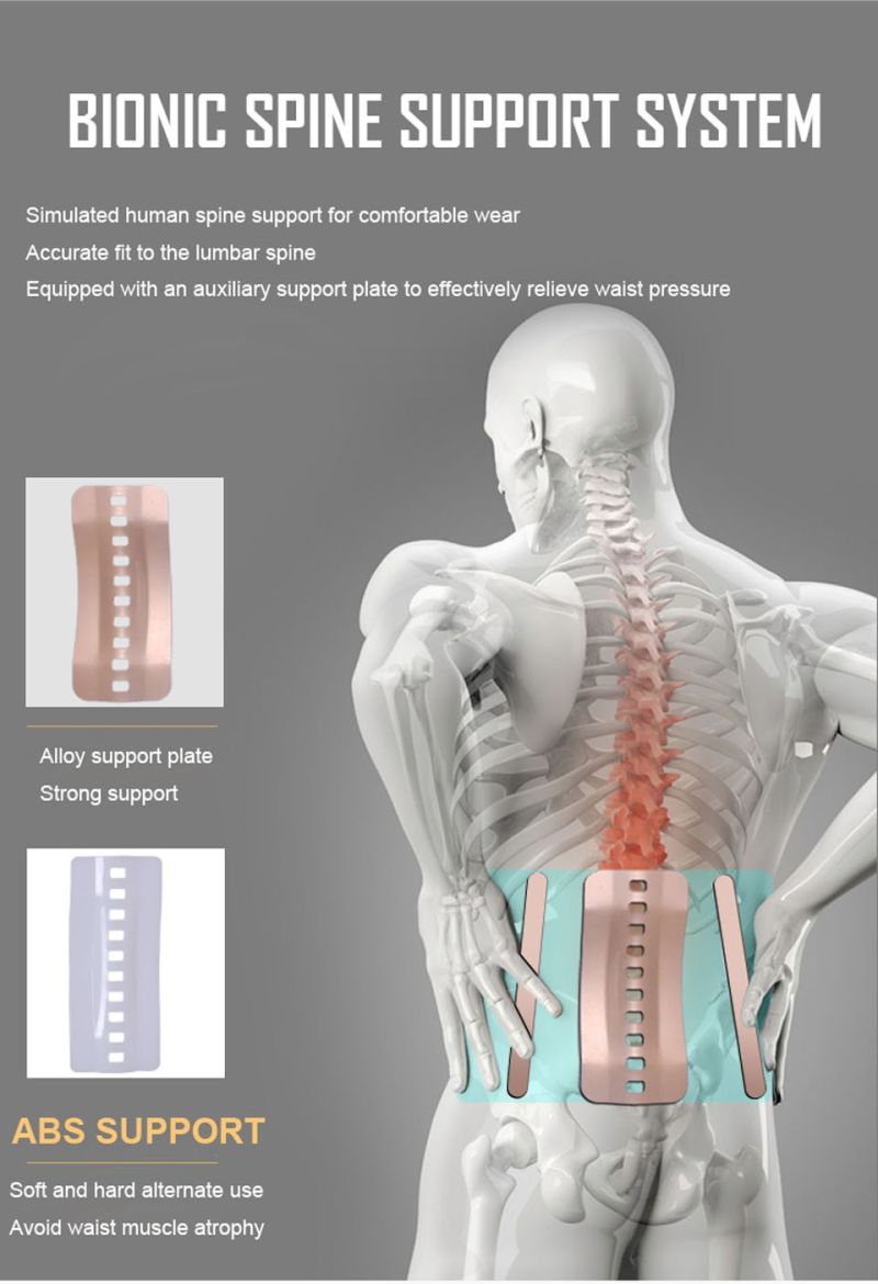 Back Beltself Heating Waist Support Magnetic Waist Support Spine Lumbar Support