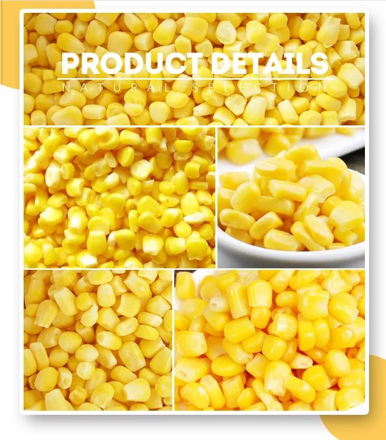 IQF Frozen Sweet Corn Frozen Corn Kernel Frozen Sweet Corn Kernel Cheap Price