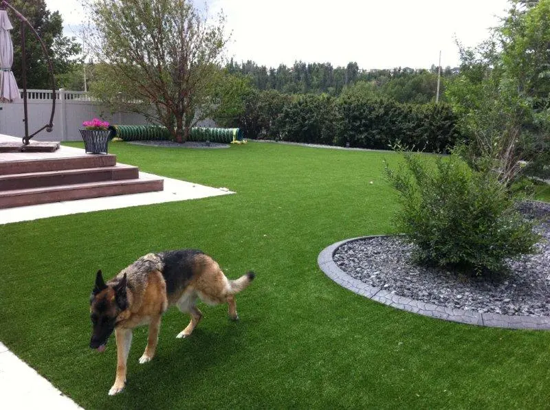 Premium Artificial Grass for Landscaping