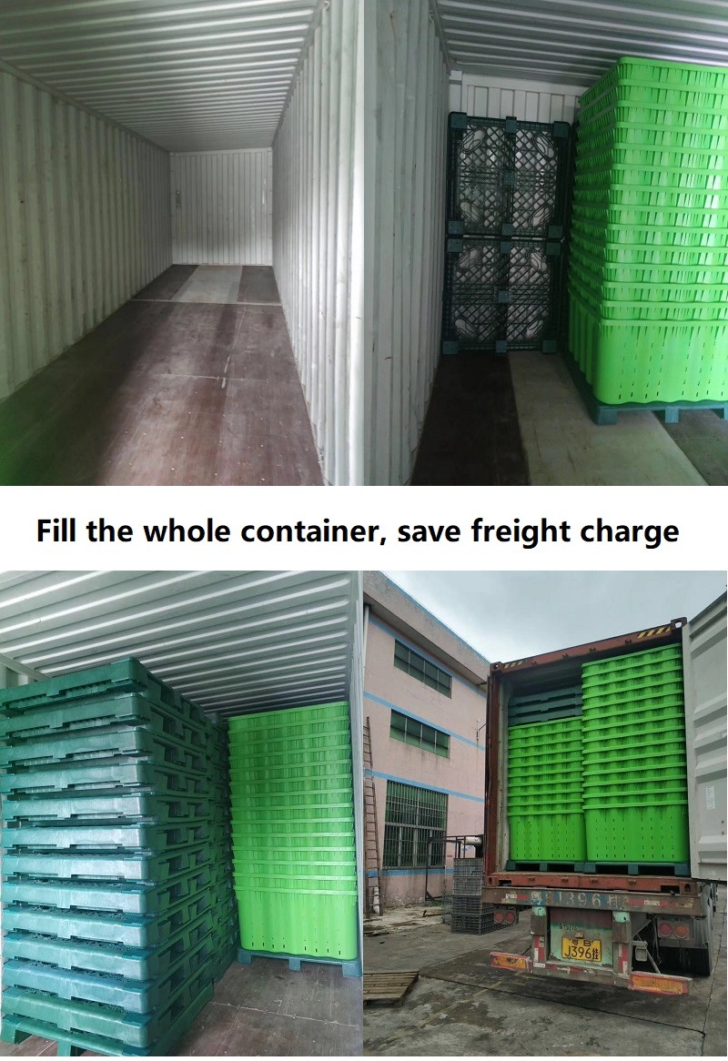 Solutions for Packaging, Solutions for Transportation