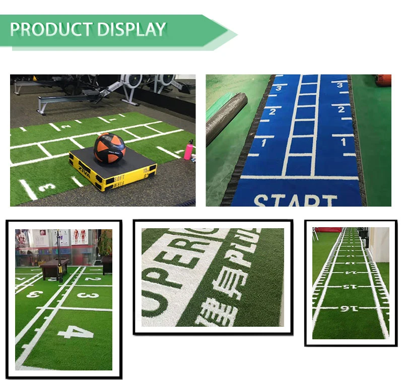Good Quality Bicolor Grass Football School Gym Playground Artificial Grass