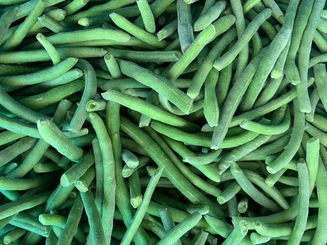Greencan Vegetables IQF Green Beans Frozen Cut Green Beans