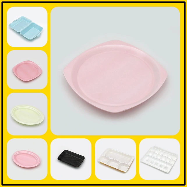 PS Disposable Foam White Styrofoam Food Containers Plate Tray Box Production Machine Line