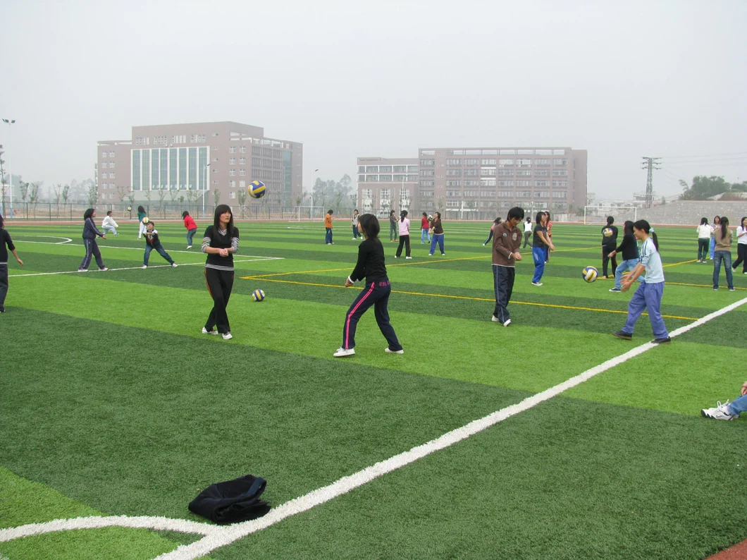 Artificial Grass Football/Soccer Pitch Grass/PE Yarn (MDS60)