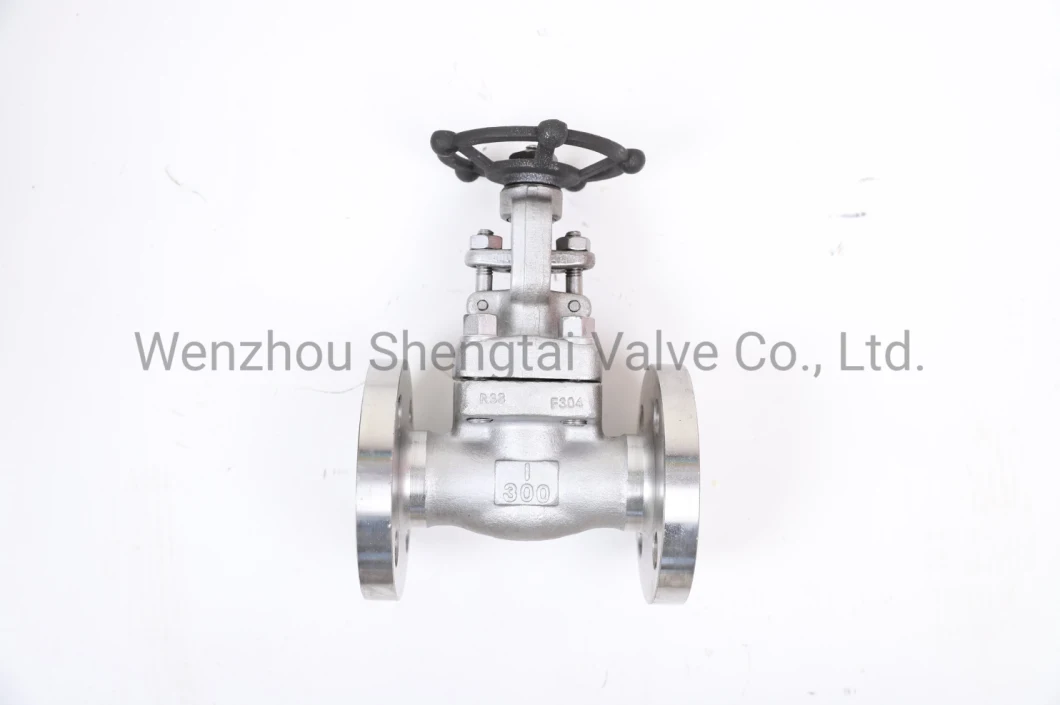 API Integral Flange Wedge Gate Carbon Steel Forged Steel Stainless Steel Gate Valve (Z41H-300LB-DN25)