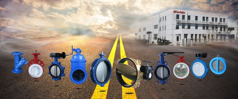Double Flange Butterfly Valve with Rubber Lining Disc Pinless