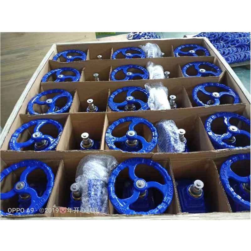 Ductile Iron Gate Valve Stainless Steel Gate Valve Non Rising O&Y Resilient Seated Gate Valve Ball Valve Forged Steel Gate Valve