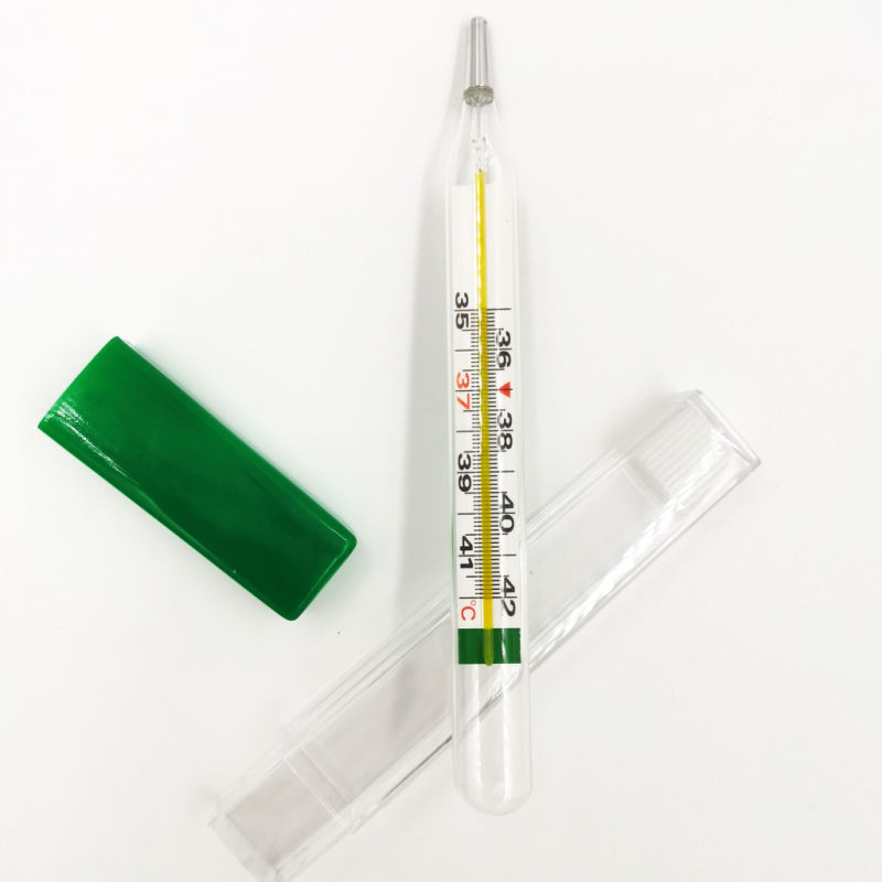 Mercury-Free Digital Thermometer Non-Mercury Clinical