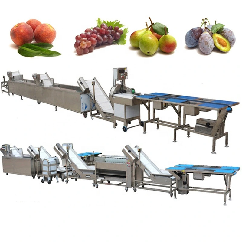 Potato Carrot Onion Washing Peeling Machine Fruit Vegetable Brush Washer Washing Production Line