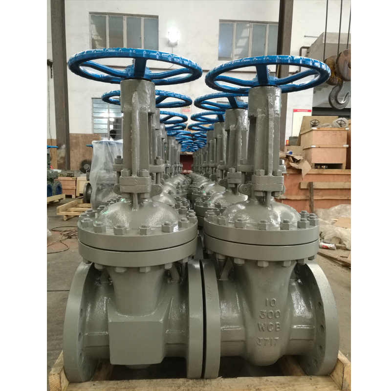 ANSI API Carbon/Stainless Steel Flanged Rising Metal Seated Gate Valve Shut off Valve PVC Ball Valve Brass Gate Valve