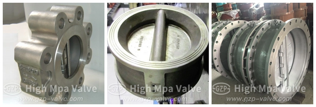 Heat Resistance Cast Steel/Cast Iron/Carbon Steel/Stainless Steel Lug Wafer Type Double Disc Check Valve