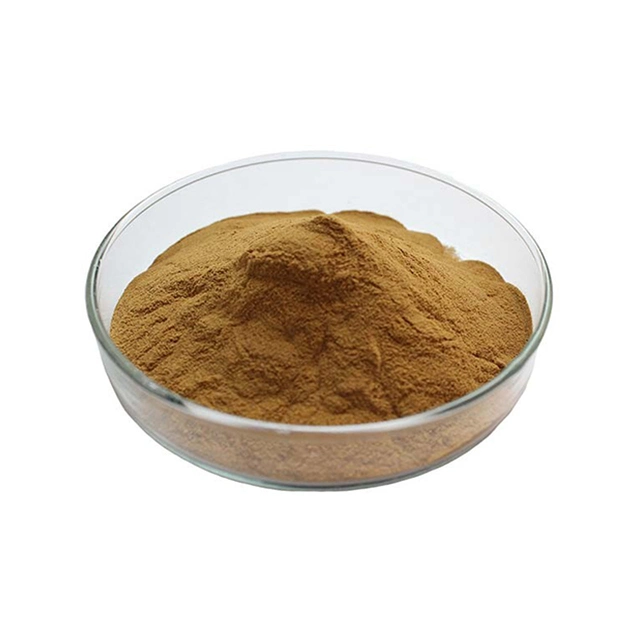 Wholesale Price of Premium Matcha Green Tea Extract Powder/ Organic Maccha/ EGCG Catechin Powder
