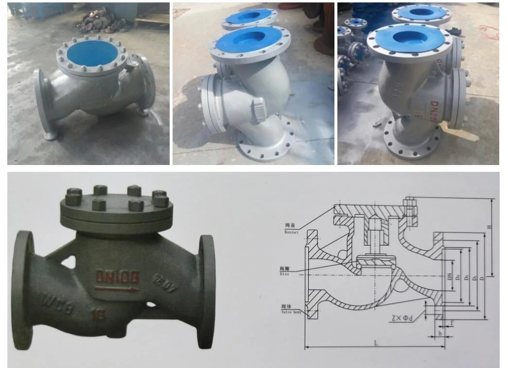 Cast Steel Stainless Steel Valve API Valve 150lb Lift Flange Check Valve