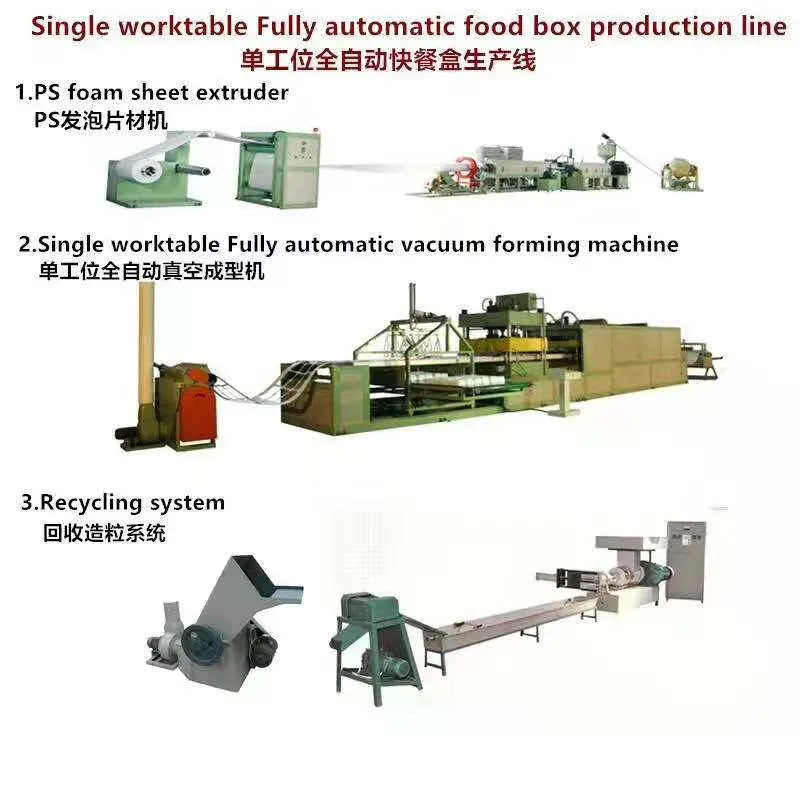 Automatic Vacuum Molding PS Plastic Foam Food Container Disposable Foam Thermocol Box Machine