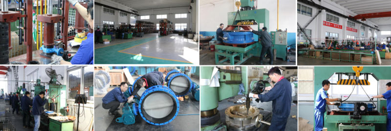 Nylon Coated Disc Full Lugged Control Cast Iron Butterfly Valve
