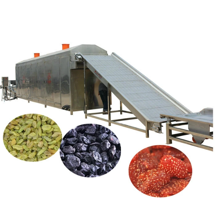 Fruits and Vegetables Drying Machines for Fruits Vegetables