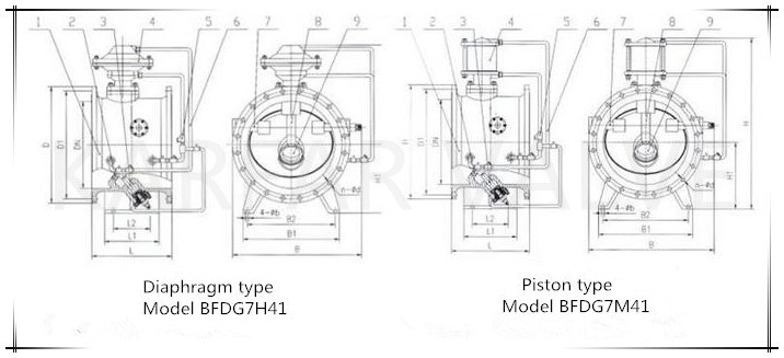 Piston / Diaphragm Type Pump Control Valve (BFDG7H41)