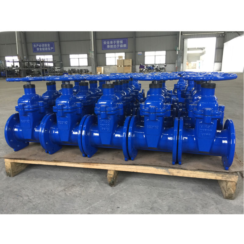 Ductile Iron/Wcb/Stainless Steel Gate Valve Non Rising O&Y Resilient Seated Control Gate Valve Industrial Slide Gate Valve Made in China