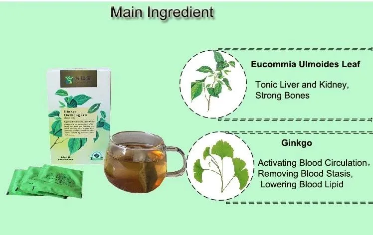 Organic Natural Ginkgo Leaf Tea for Reducing High Blood Pressure Herbal Tea